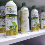 Healthy Living 2-in-1 Moisturizing Shampoo with Conditioner – 500ml - Image 2