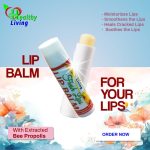 Healthy Living Fresh Lips Lip Balm - Image 2